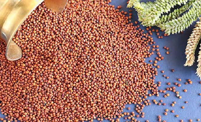 Ragi (Finger Millet): Health Benefits, Uses, Nutritional Values and Facts